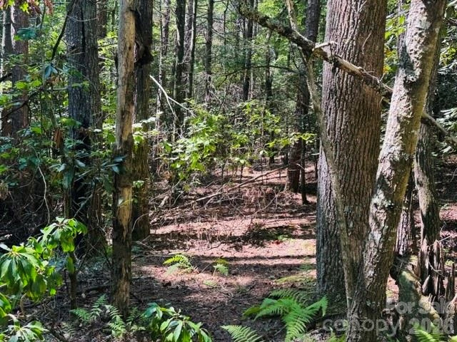 475 Old Little Mountain Road - Photo 12