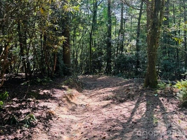 475 Old Little Mountain Road - Photo 14