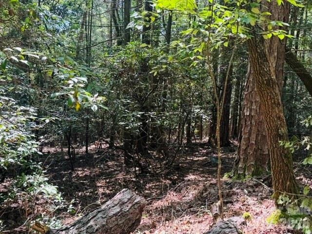 475 Old Little Mountain Road - Photo 15