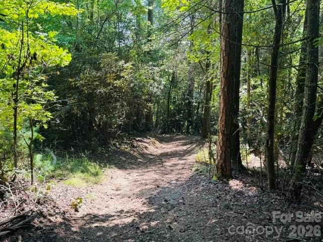 475 Old Little Mountain Road - Photo 16