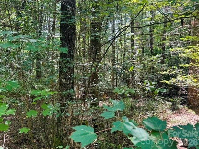 475 Old Little Mountain Road - Photo 17