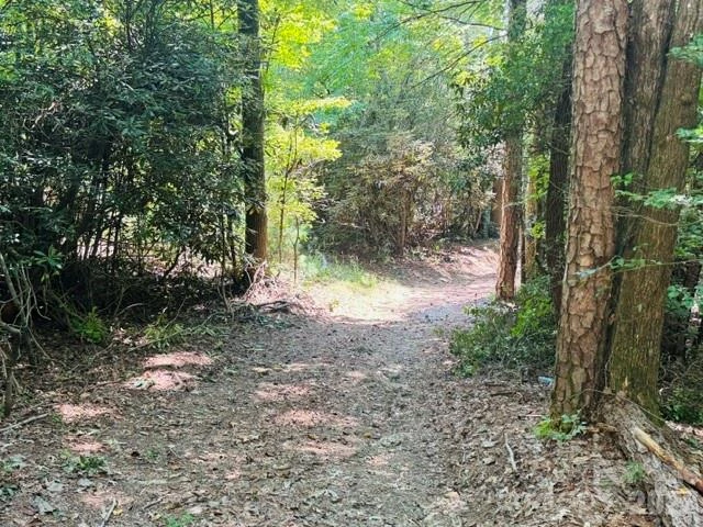 475 Old Little Mountain Road - Photo 18