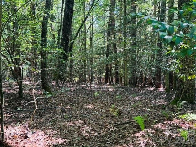 475 Old Little Mountain Road - Photo 19