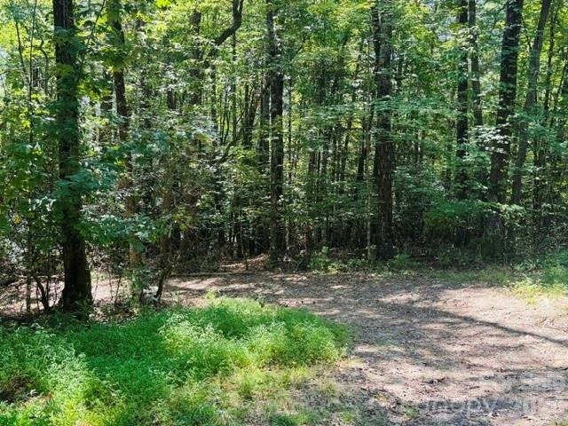 475 Old Little Mountain Road - Photo 20