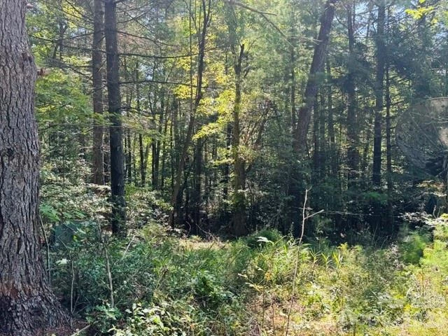 475 Old Little Mountain Road - Photo 21