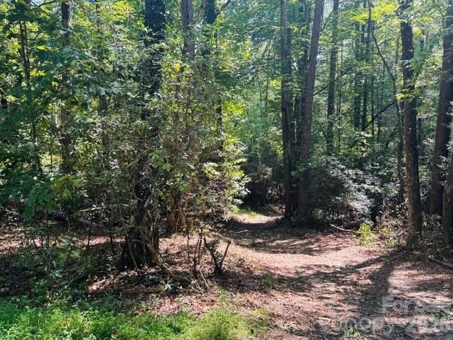 475 Old Little Mountain Road - Photo 22