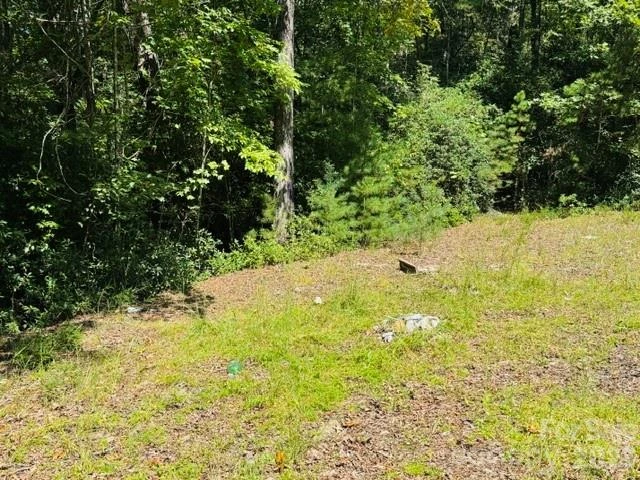 475 Old Little Mountain Road - Photo 24