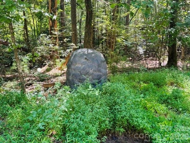 475 Old Little Mountain Road - Photo 25