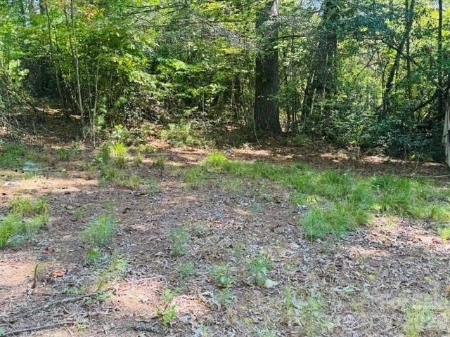 475 Old Little Mountain Road - Photo 26