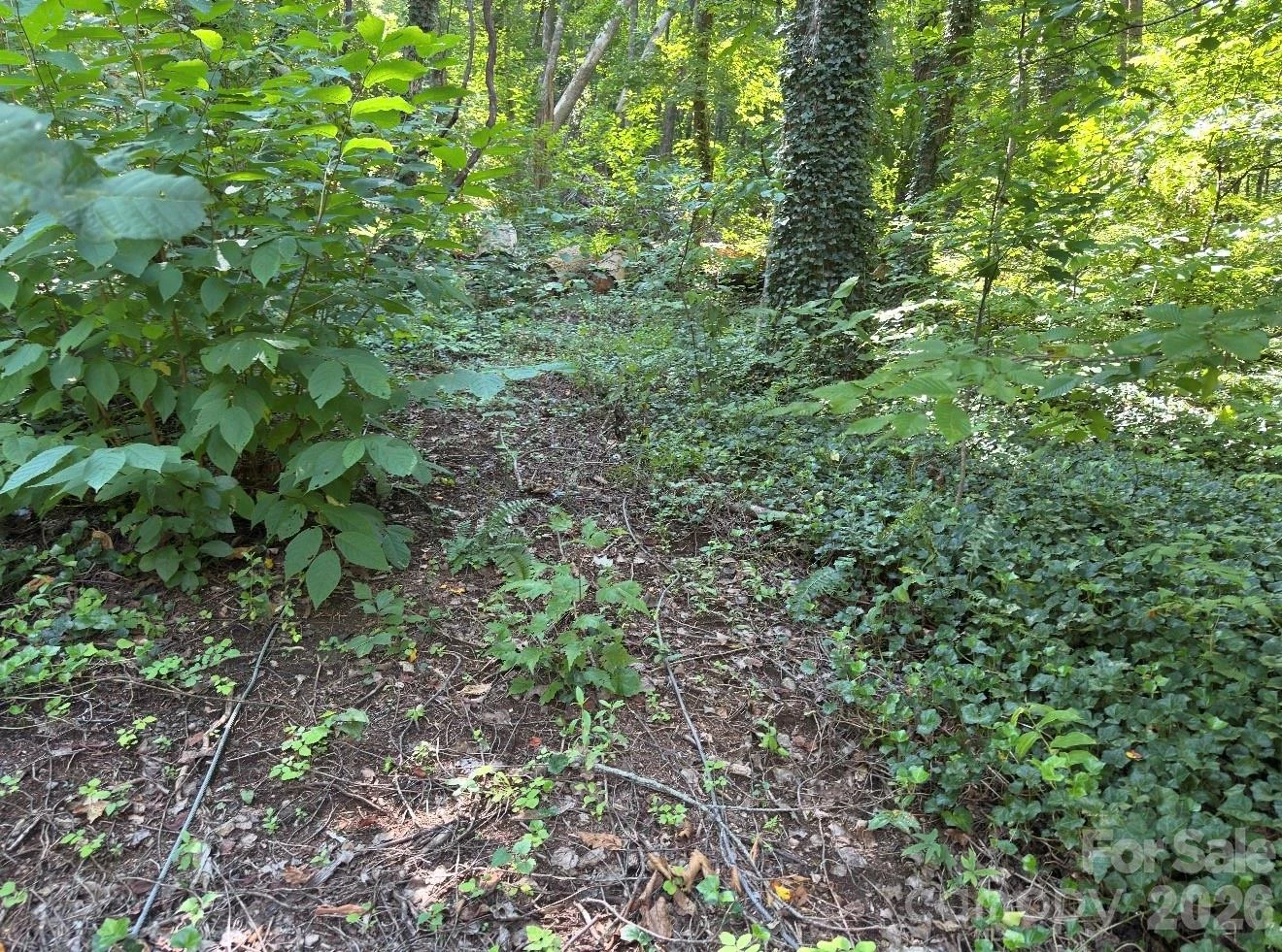 0 Rock Broad River Road #21 - Photo 12