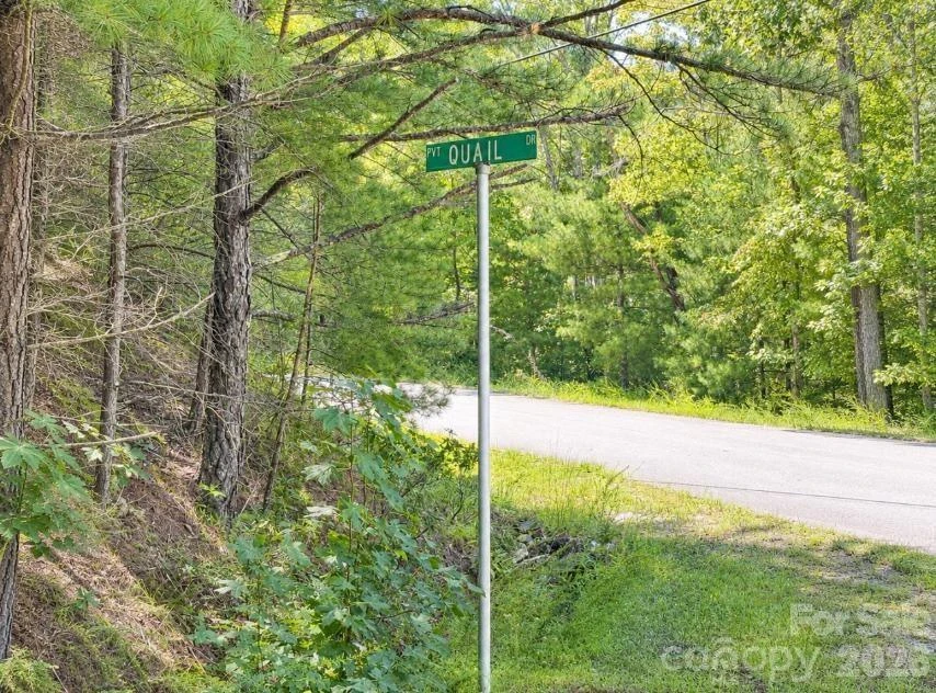 Lots 21-A, 22-B Quail Drive - Photo 5