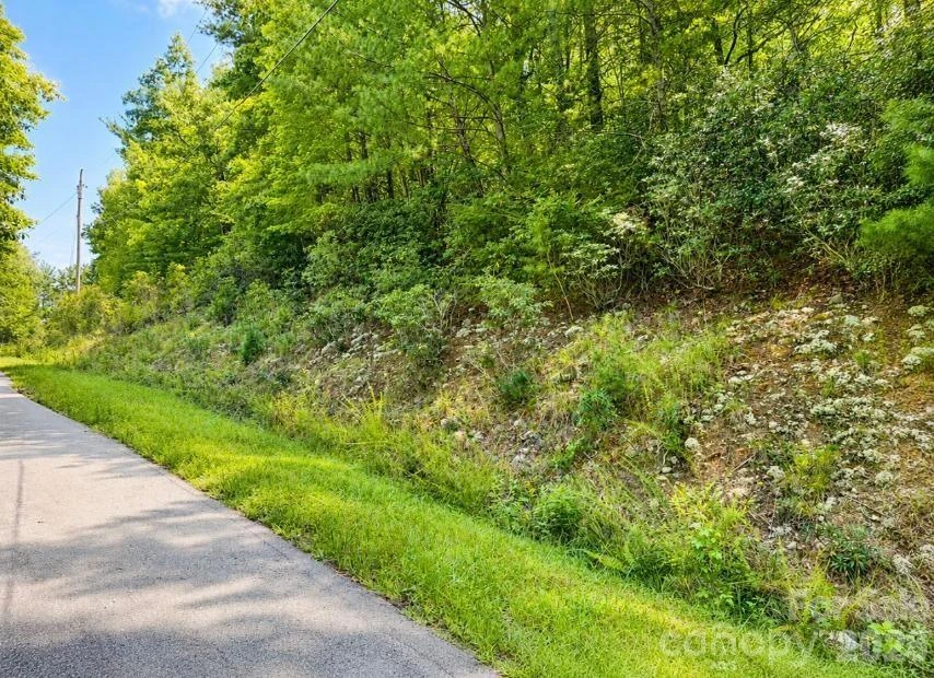 Lots 21-A, 22-B Quail Drive - Photo 6