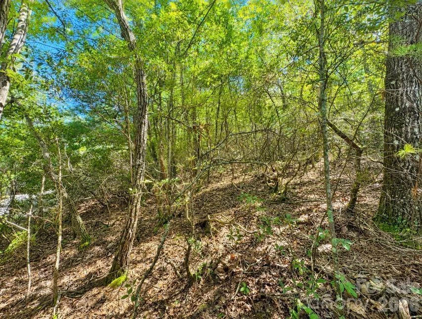 Lots 21-A, 22-B Quail Drive - Photo 8