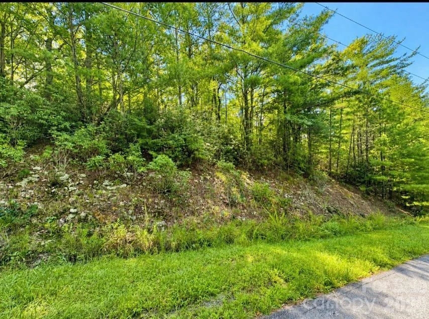 Lots 21-A, 22-B Quail Drive - Photo 11