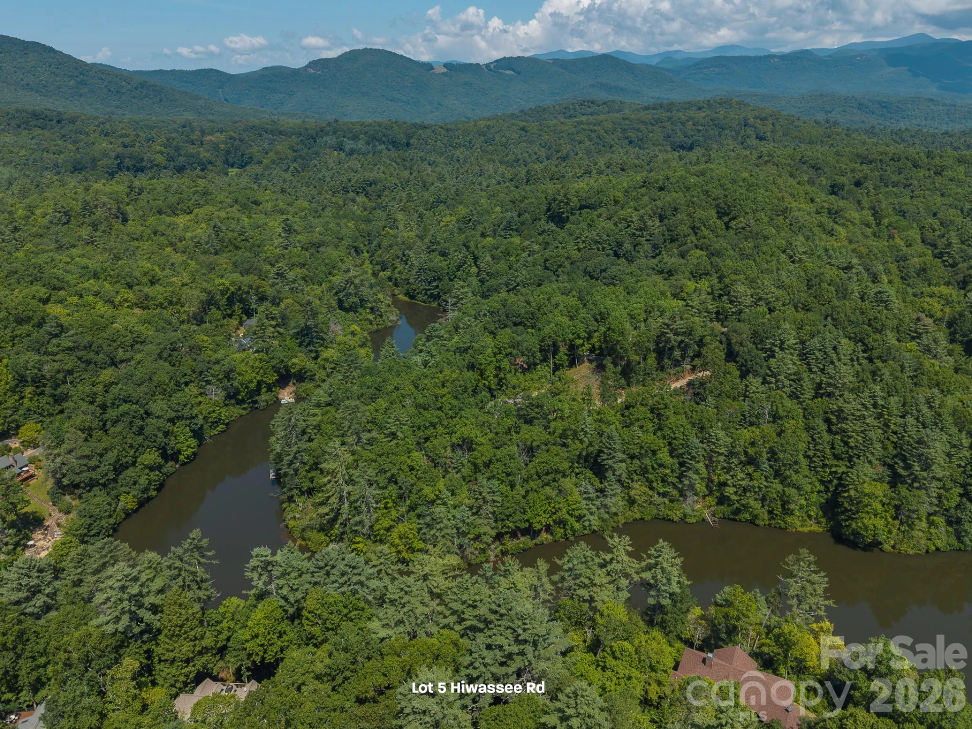 Lot 5 Hiwassee Road #5 - Photo 4