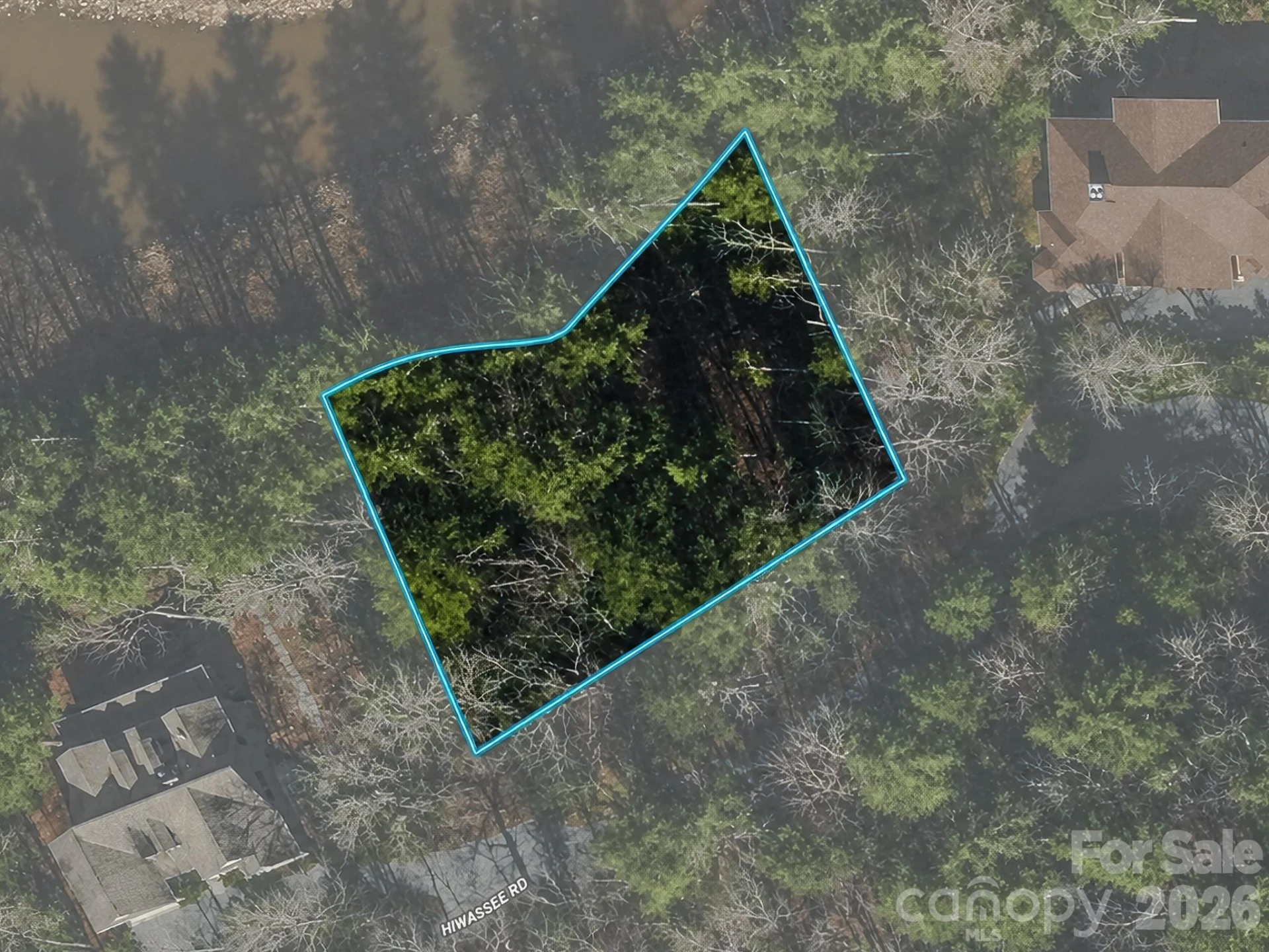 Lot 5 Hiwassee Road #5 - Photo 5