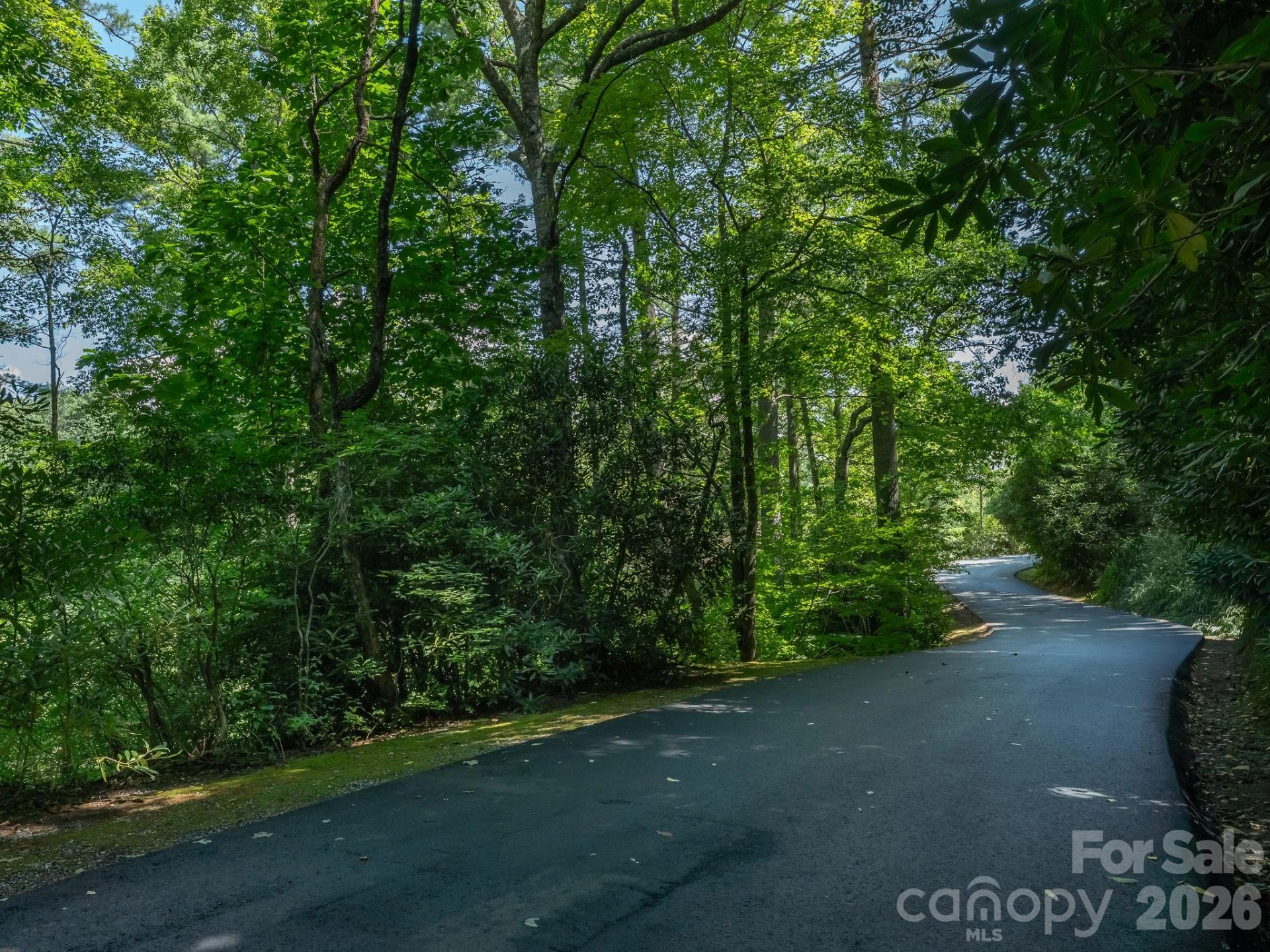 Lot 5 Hiwassee Road #5 - Photo 6
