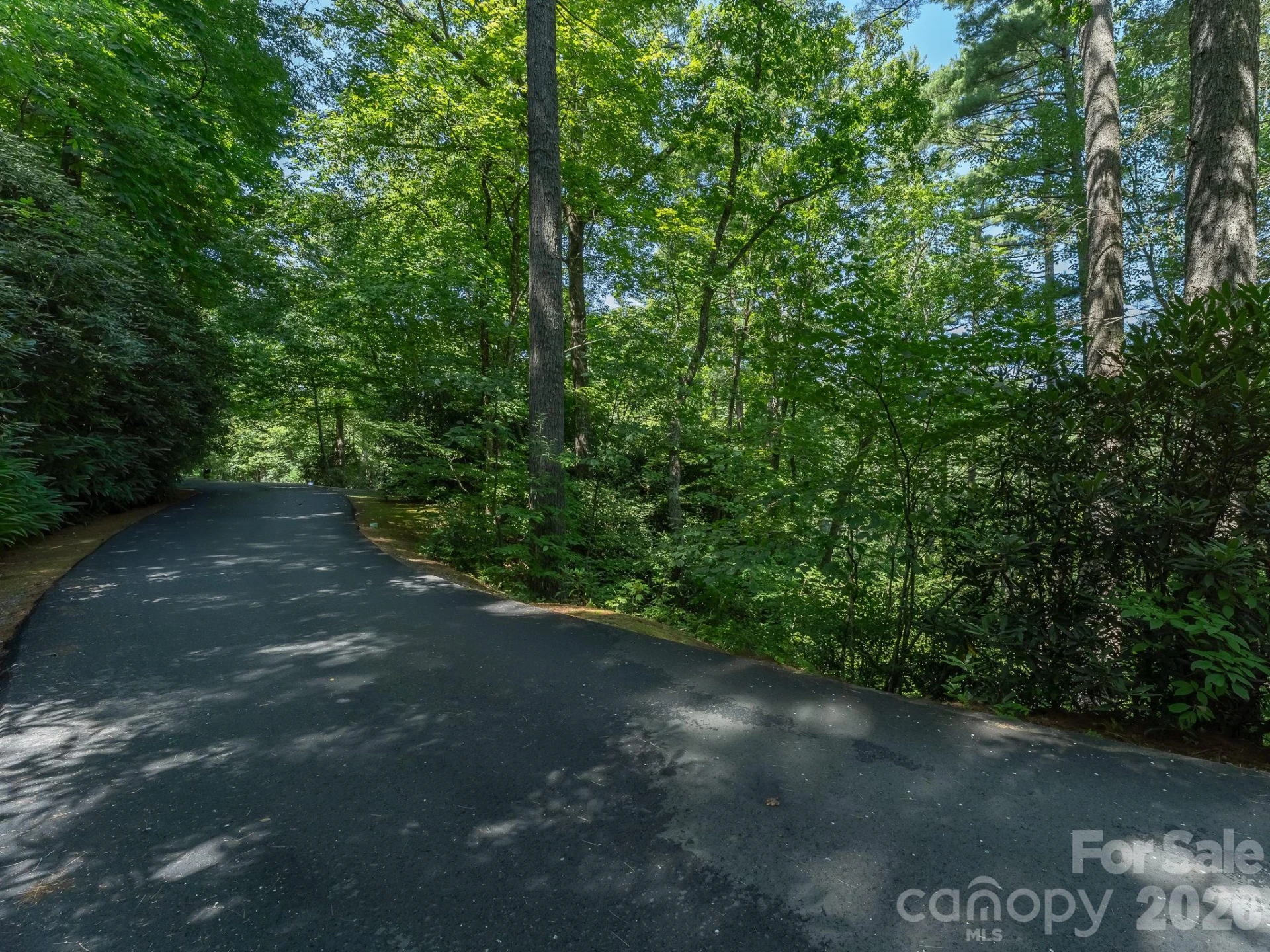 Lot 5 Hiwassee Road #5 - Photo 7
