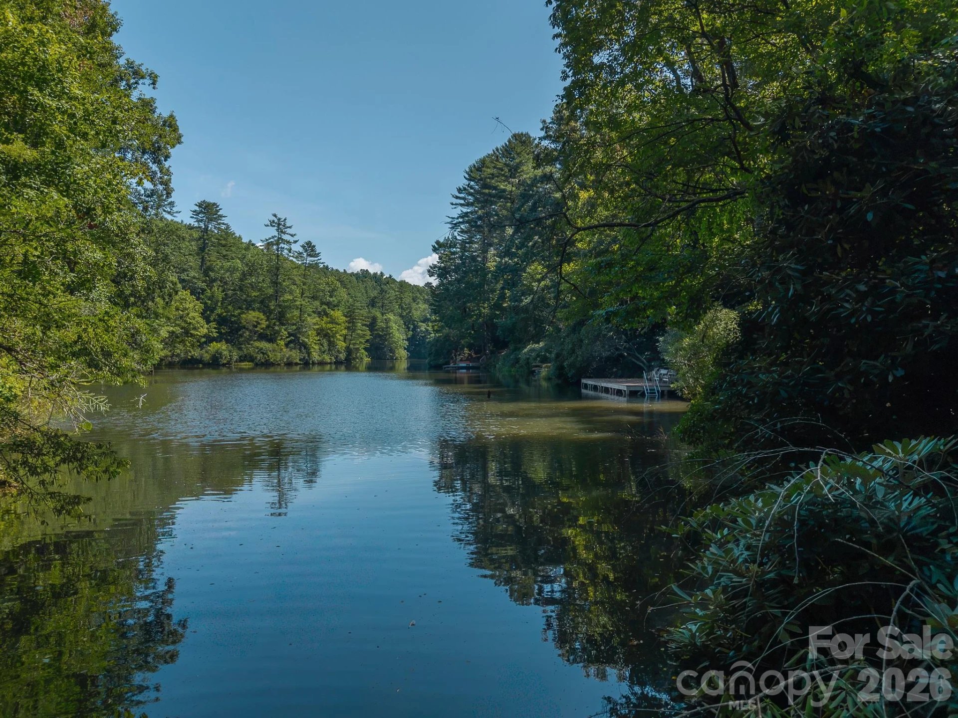 Lot 5 Hiwassee Road #5 - Photo 9