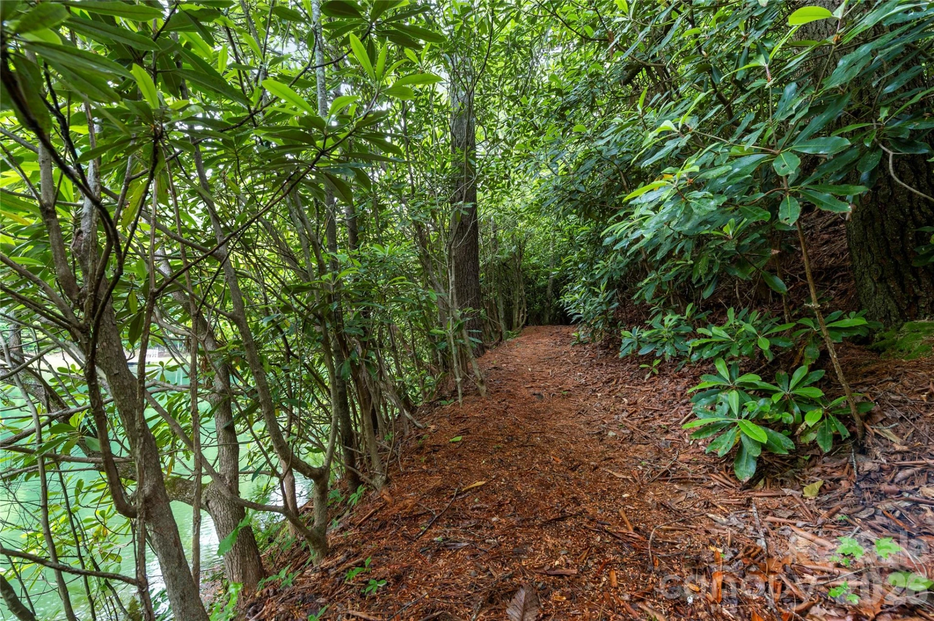 68 Huckleberry Ridge Lane - Photo 33