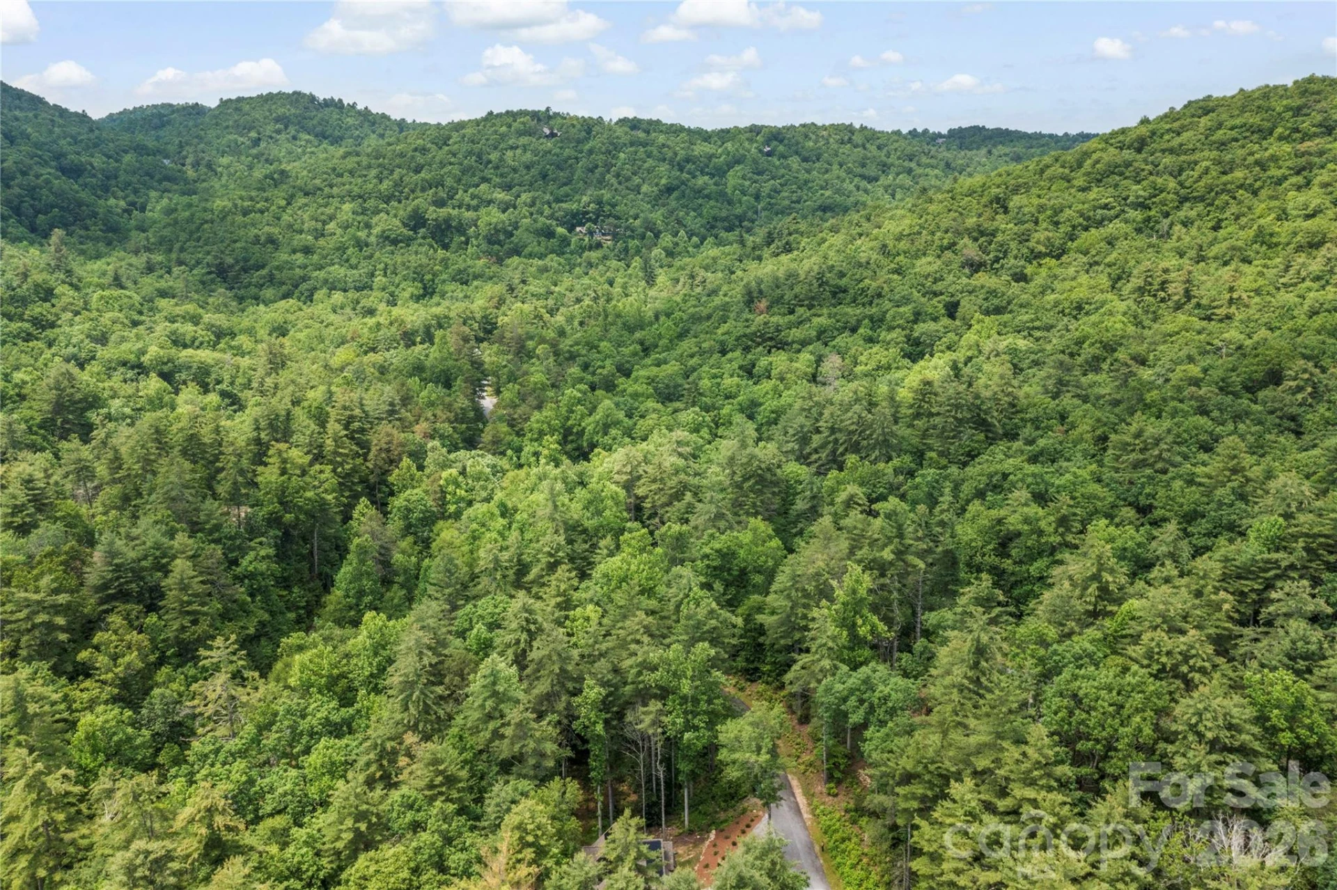 68 Huckleberry Ridge Lane - Photo 42