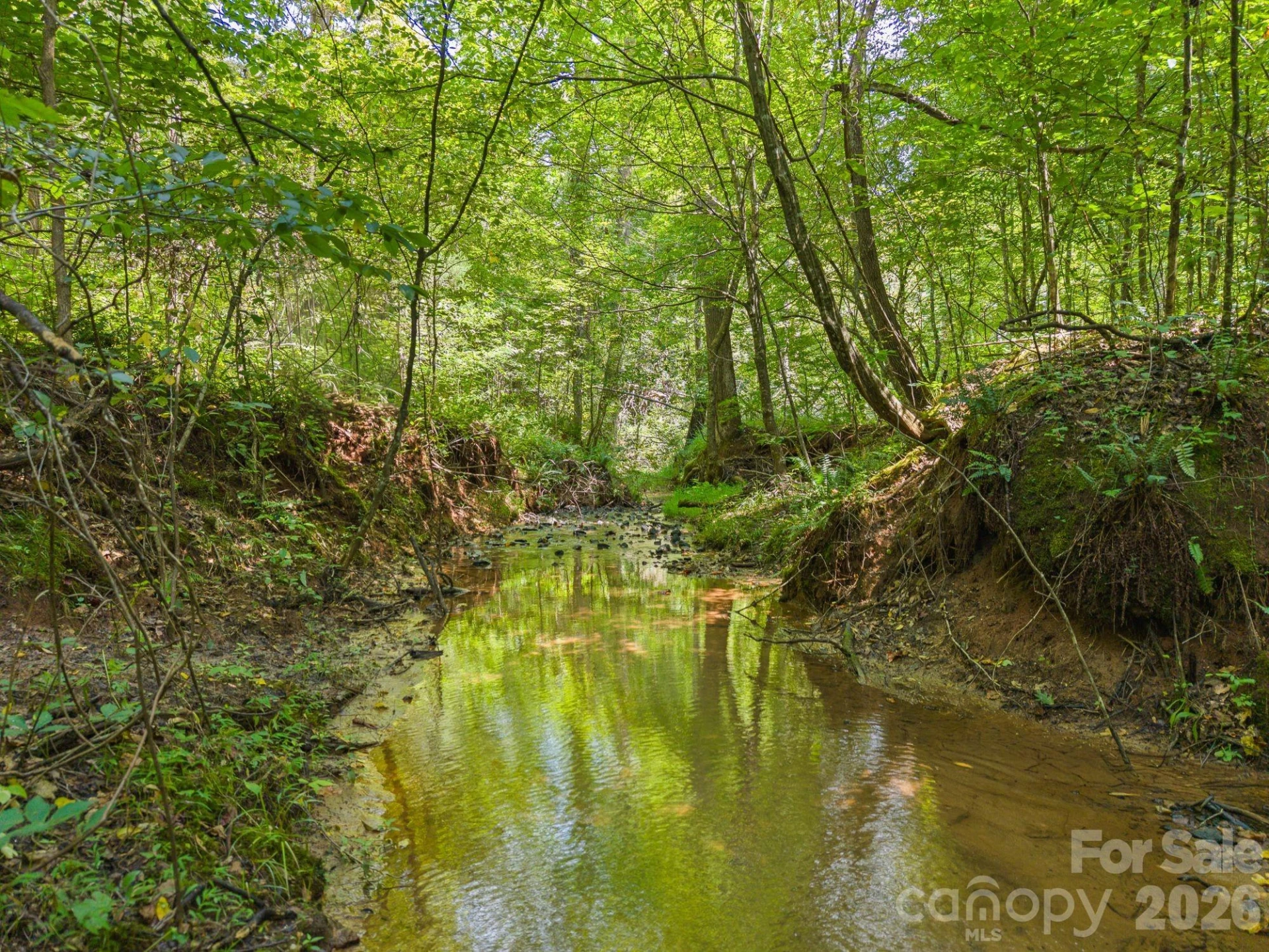 00 Chilly Bowl Road - Photo 2