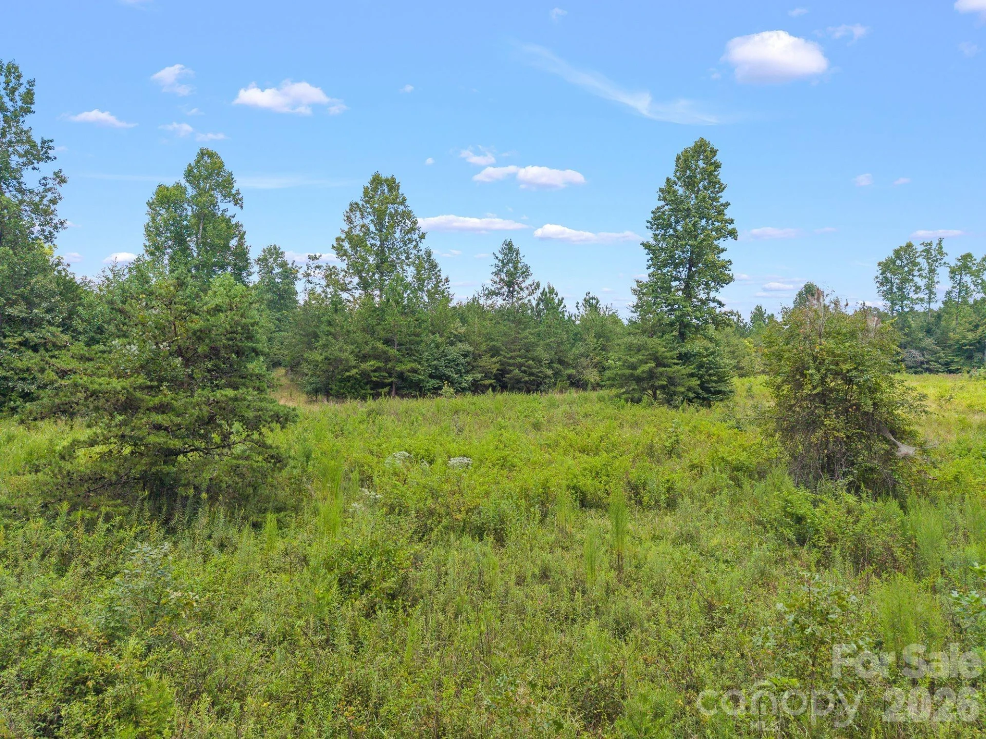 00 Chilly Bowl Road - Photo 3