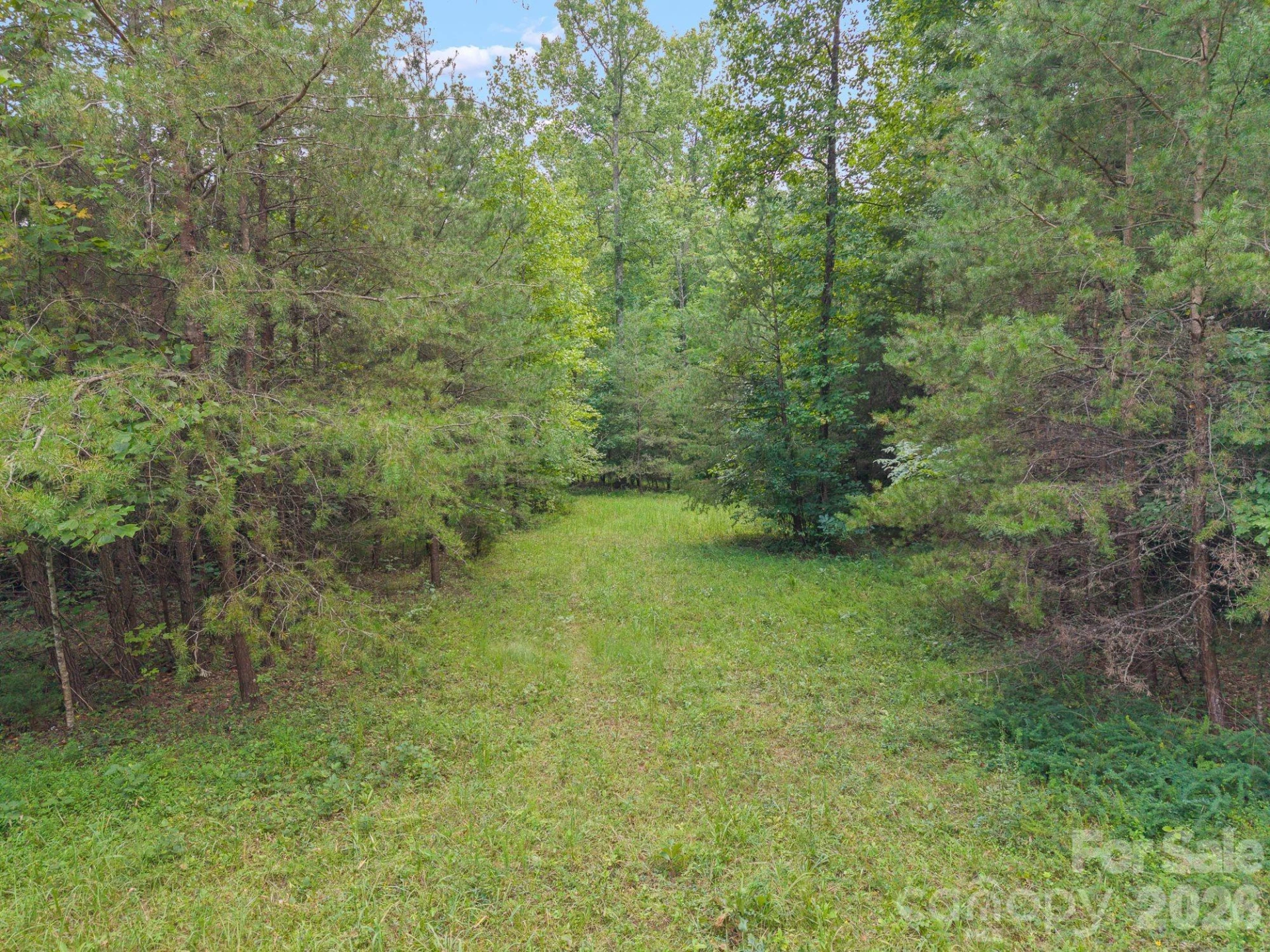 00 Chilly Bowl Road - Photo 4