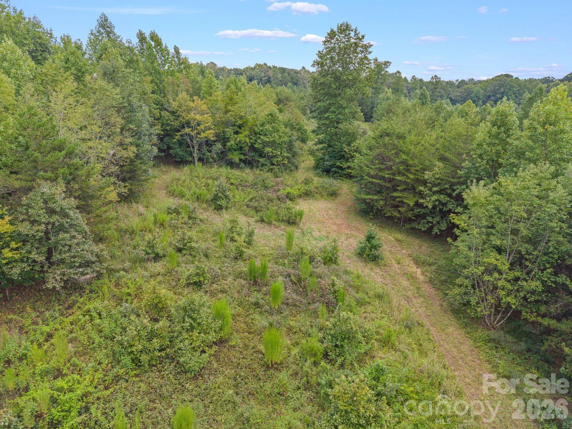 00 Chilly Bowl Road - Photo 5