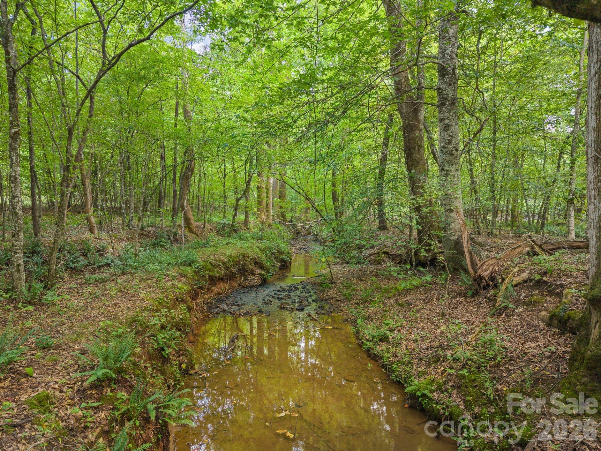 00 Chilly Bowl Road - Photo 6