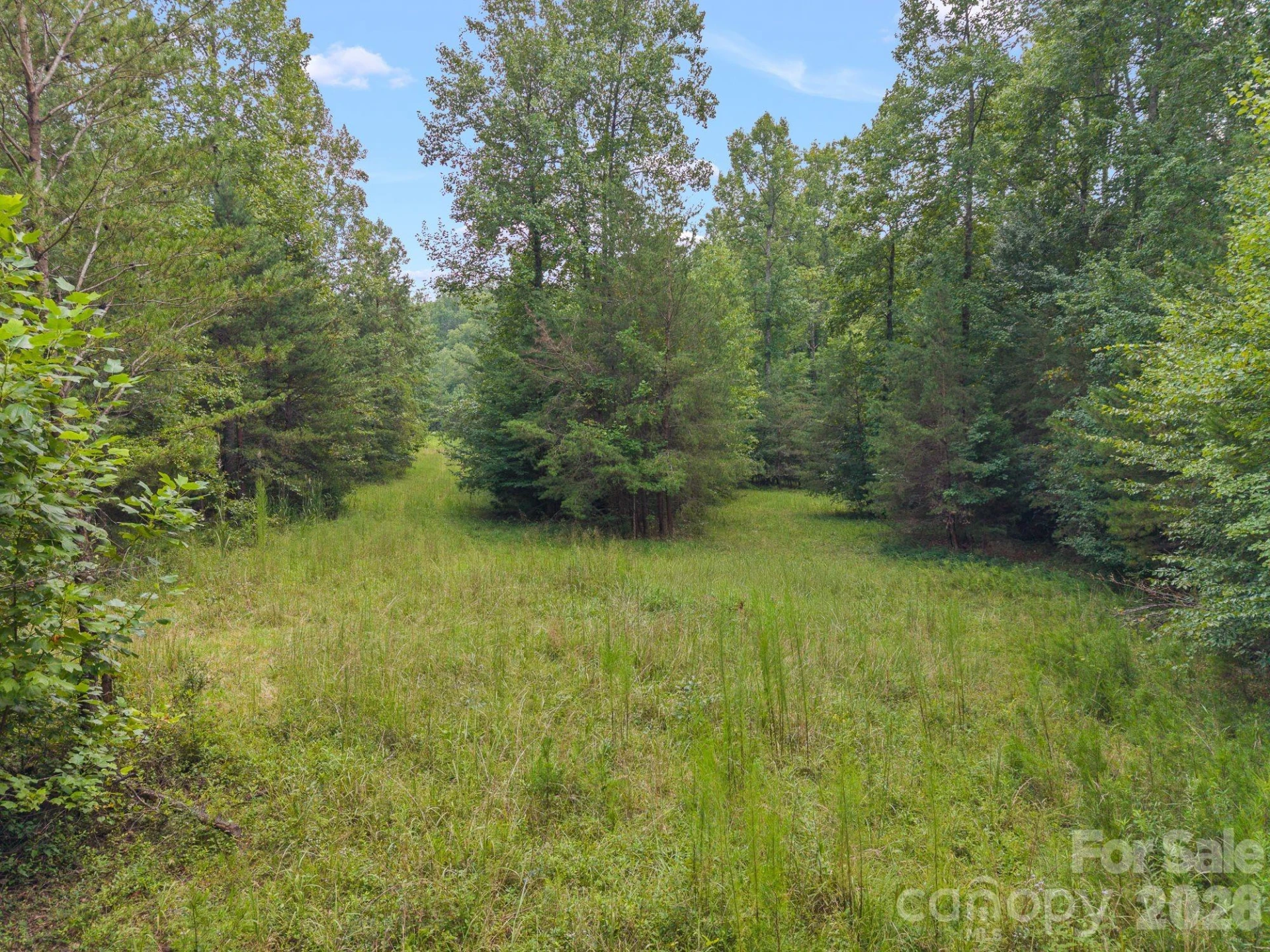 00 Chilly Bowl Road - Photo 9