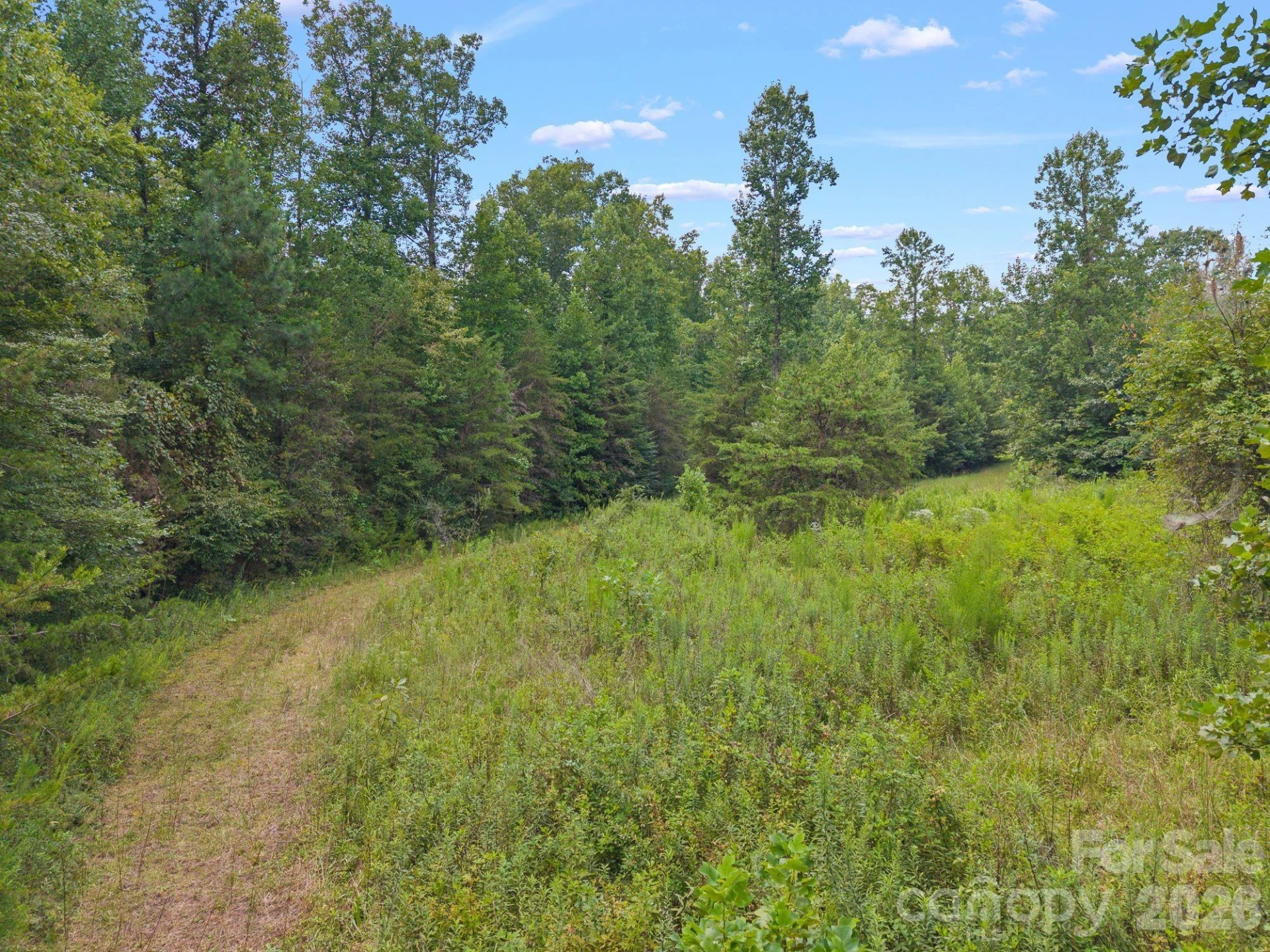 00 Chilly Bowl Road - Photo 10