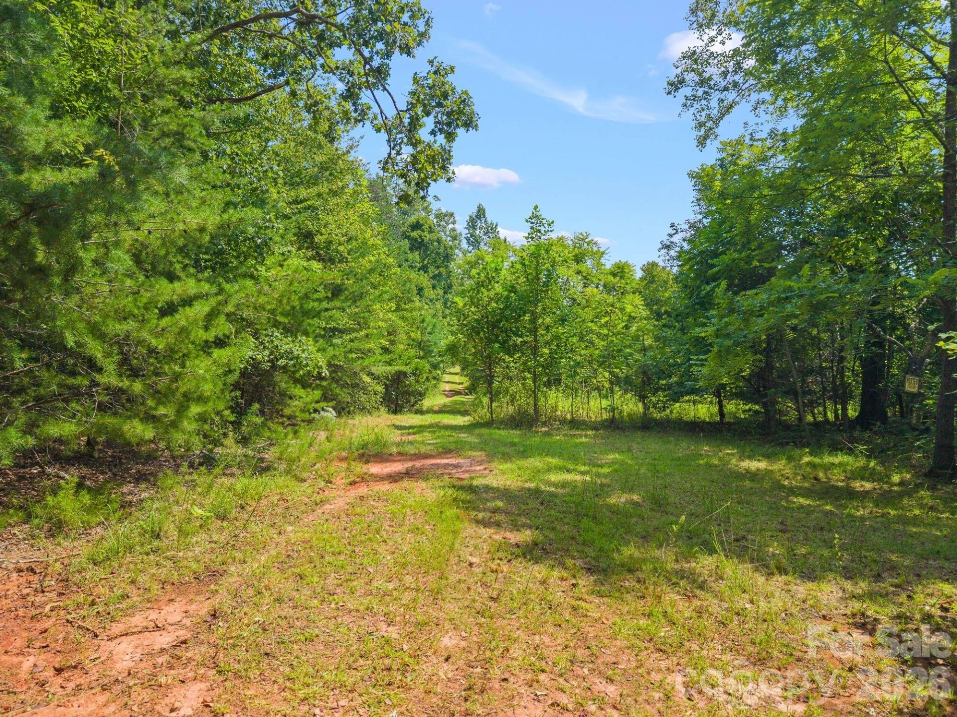 00 Chilly Bowl Road - Photo 13