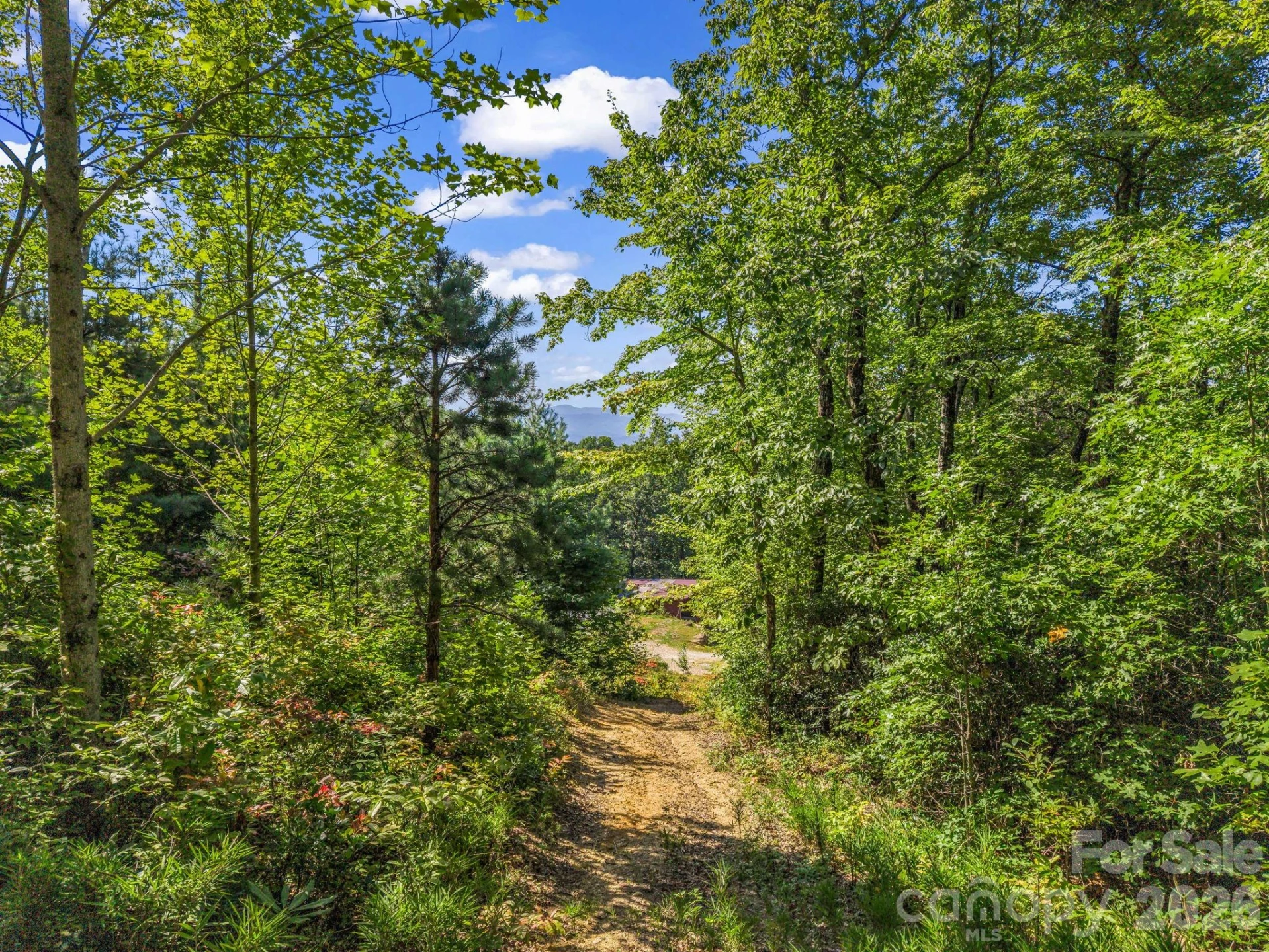 557 Sutton Mountain Ridge - Photo 34