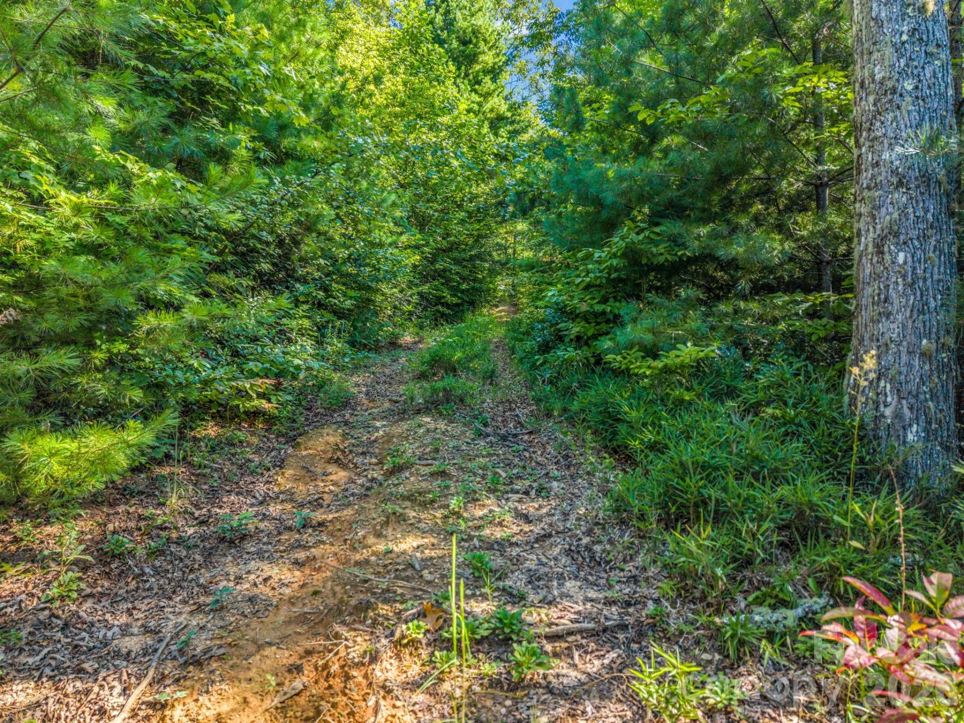 557 Sutton Mountain Ridge - Photo 35