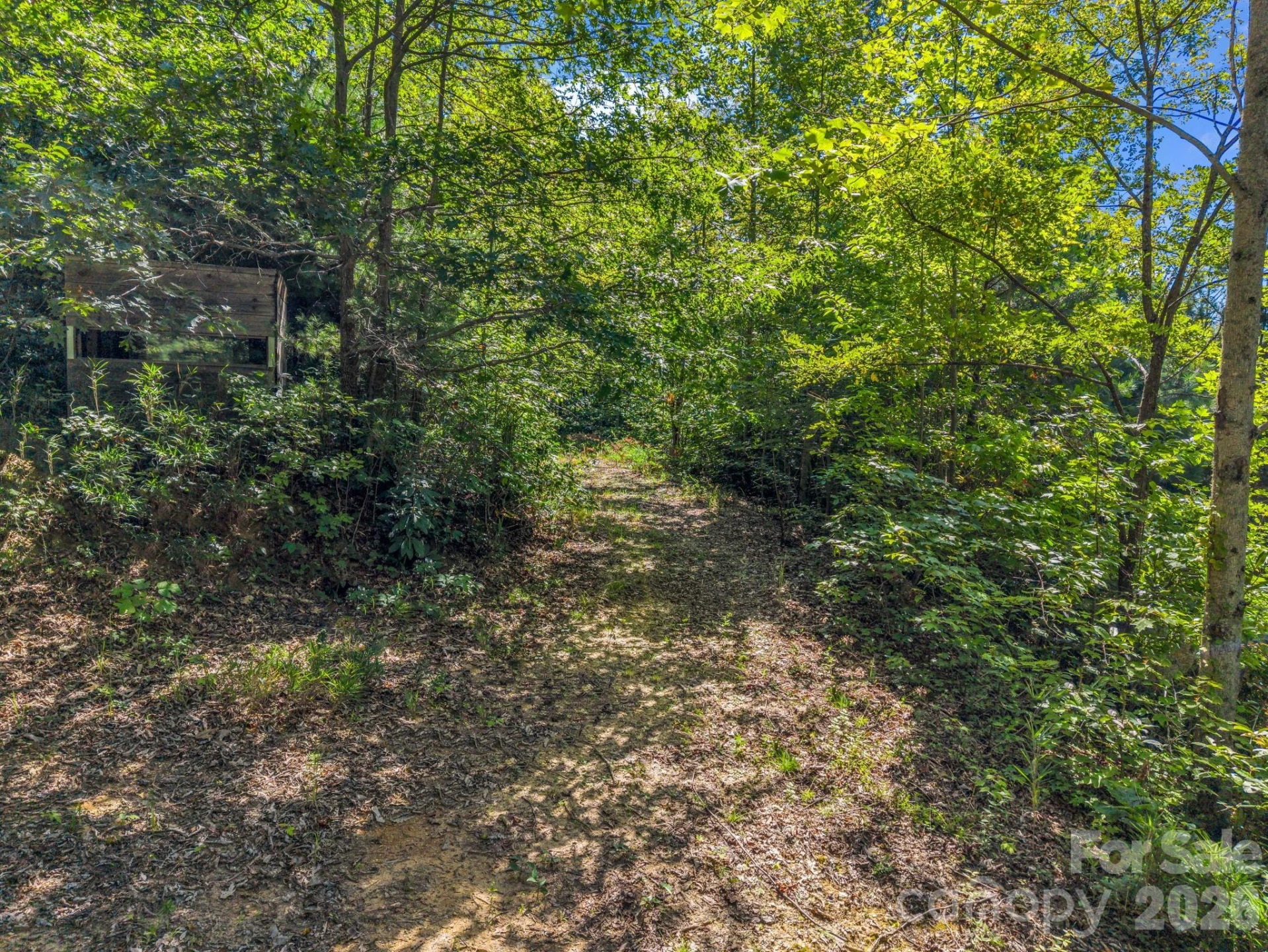 557 Sutton Mountain Ridge - Photo 36