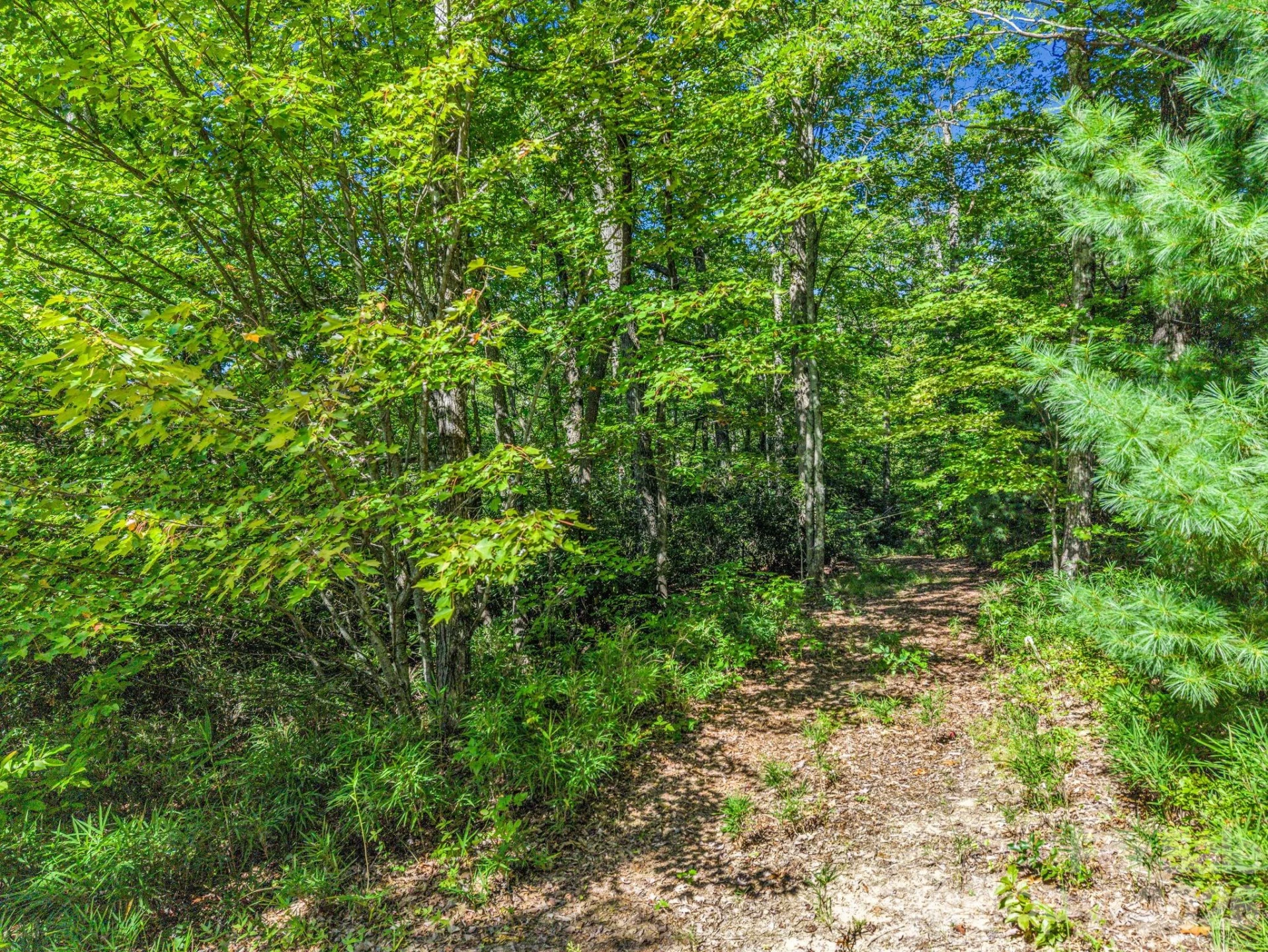 557 Sutton Mountain Ridge - Photo 38