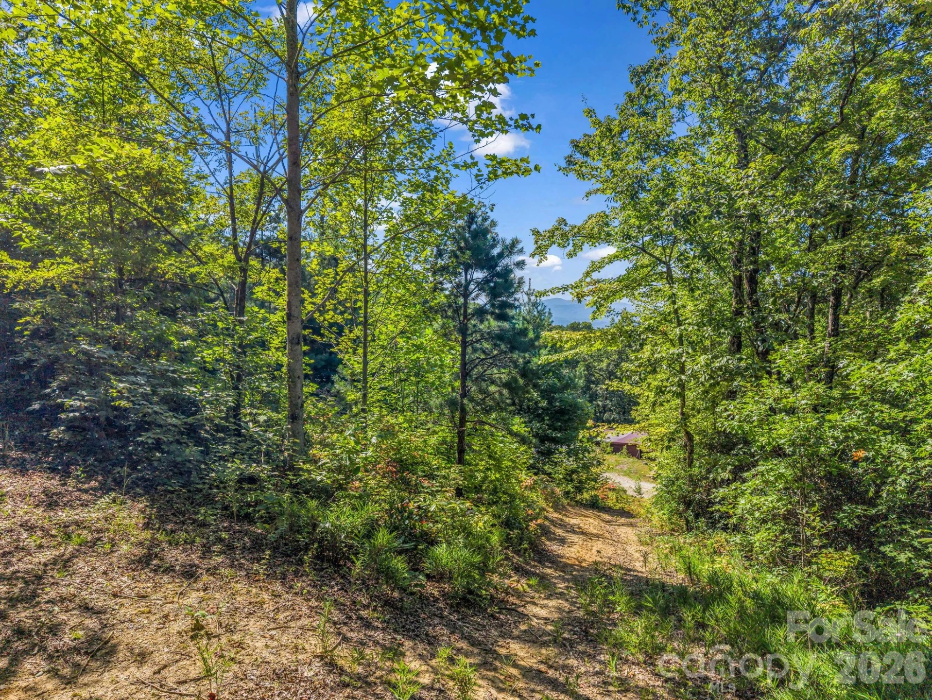 557 Sutton Mountain Ridge - Photo 39