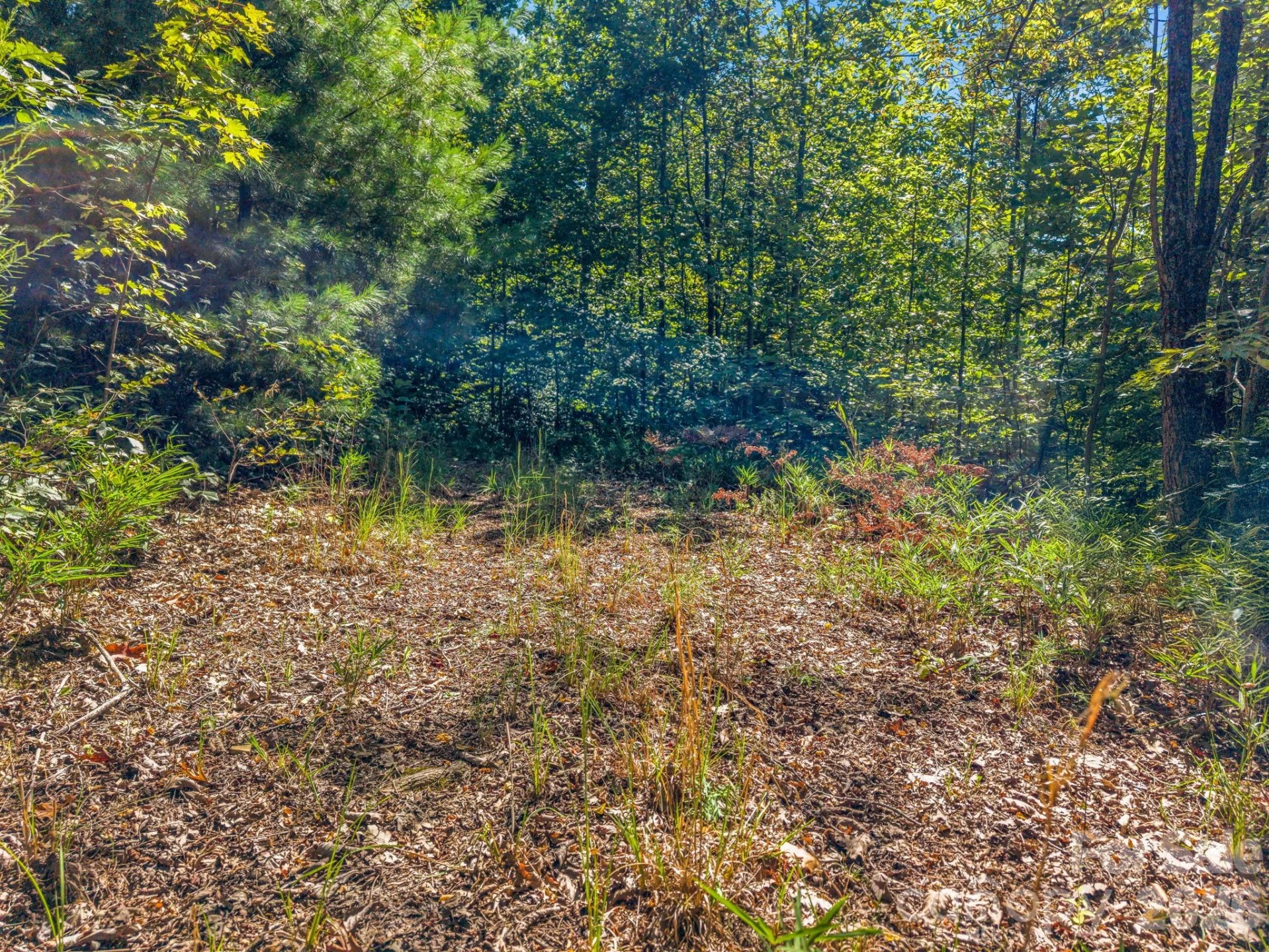 557 Sutton Mountain Ridge - Photo 40