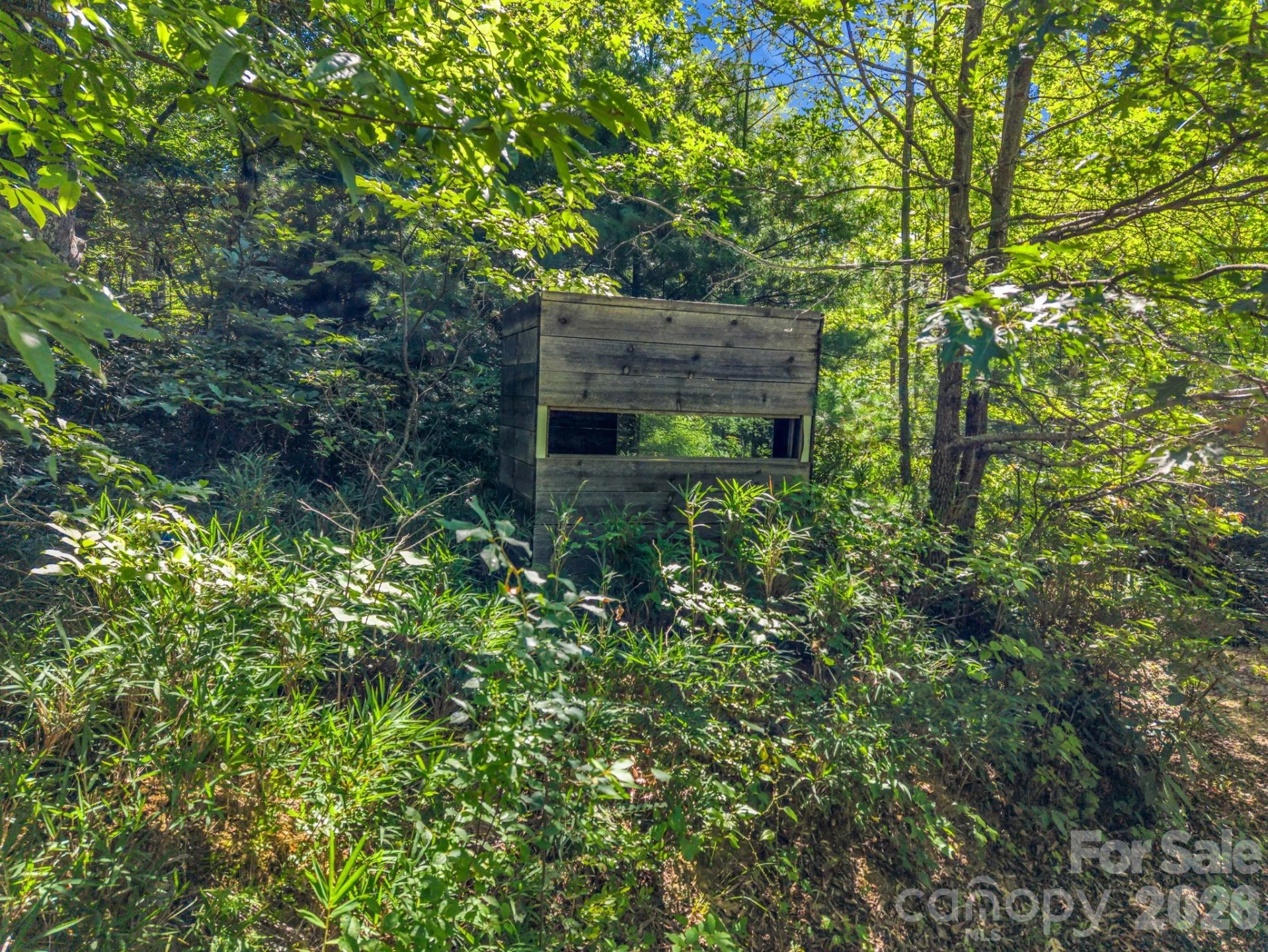 557 Sutton Mountain Ridge - Photo 41