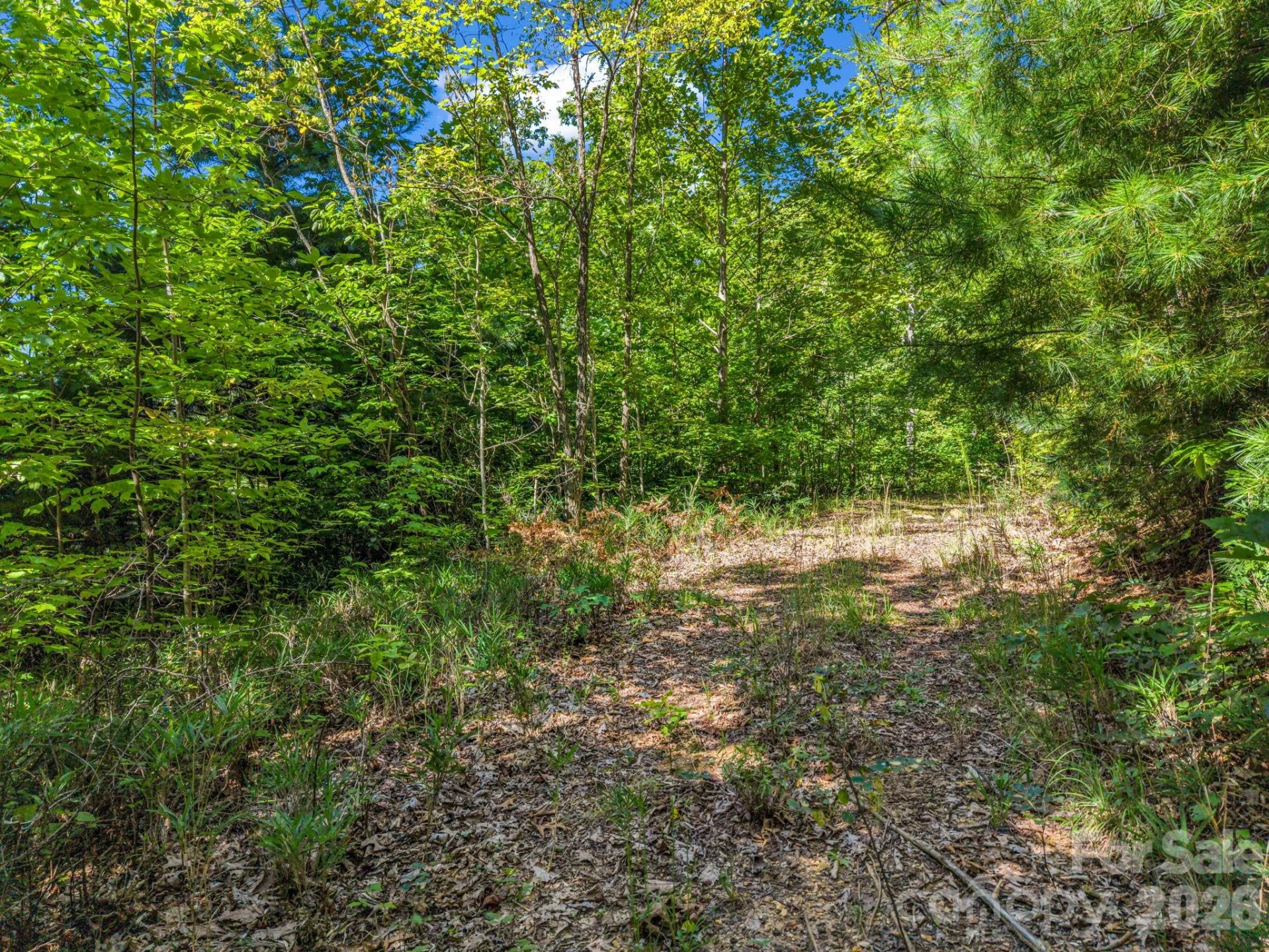 557 Sutton Mountain Ridge - Photo 42