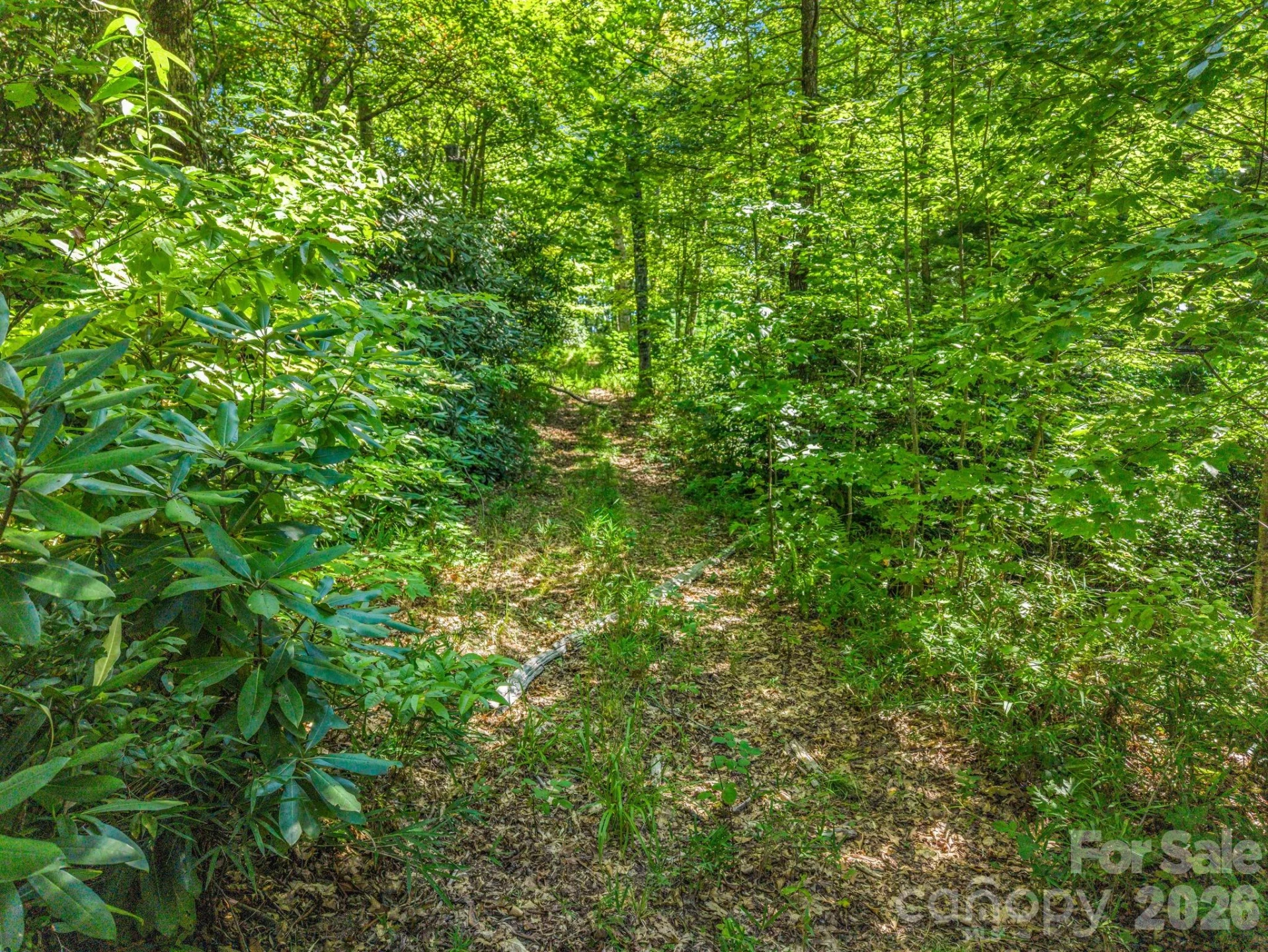 557 Sutton Mountain Ridge - Photo 43