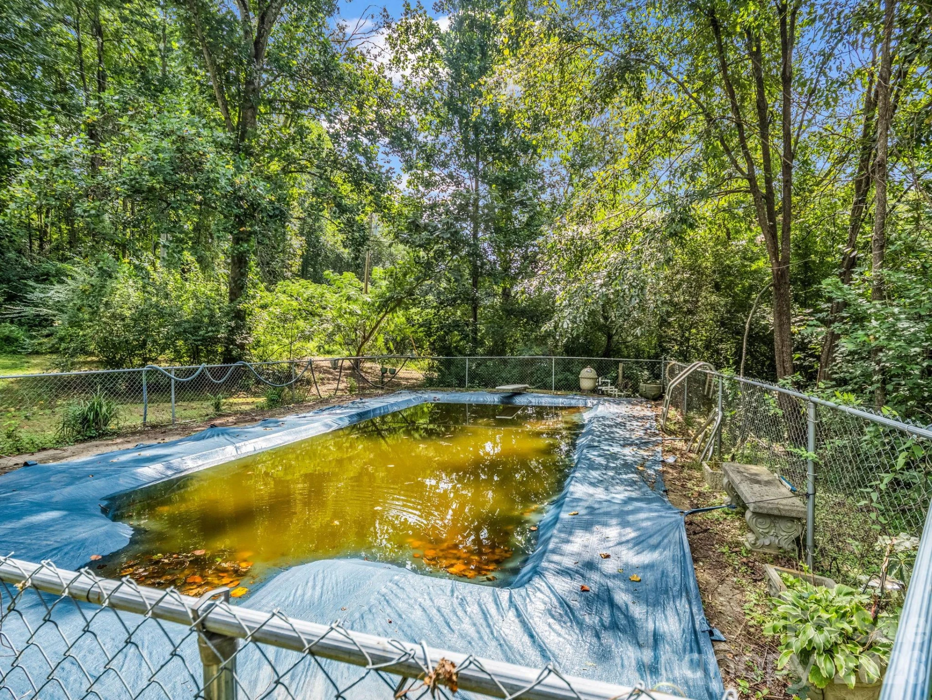 2957 NC Highway 226 Highway - Photo 10