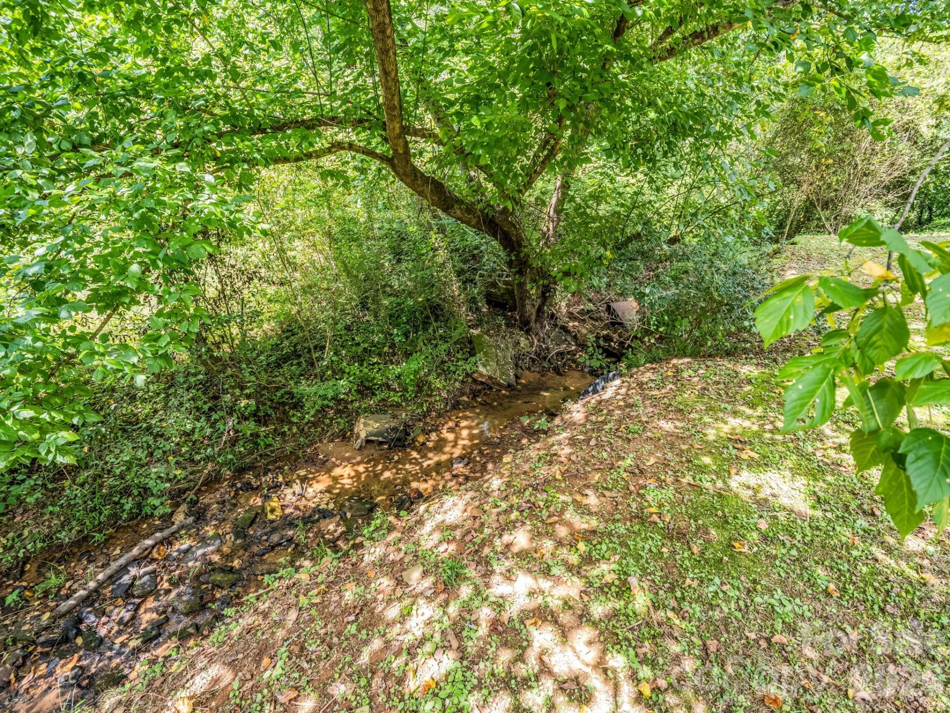 2957 NC Highway 226 Highway - Photo 12