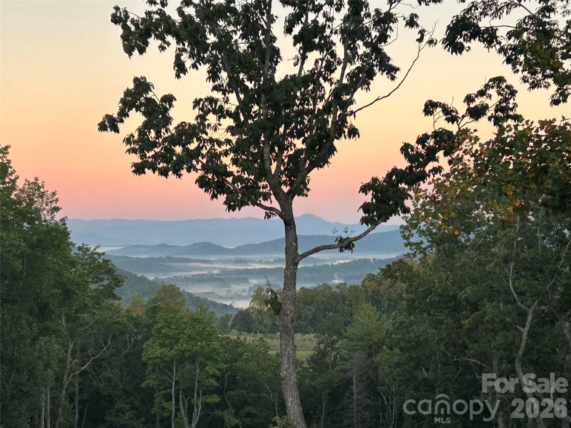 72 Jacks Paw Lane - Photo 28