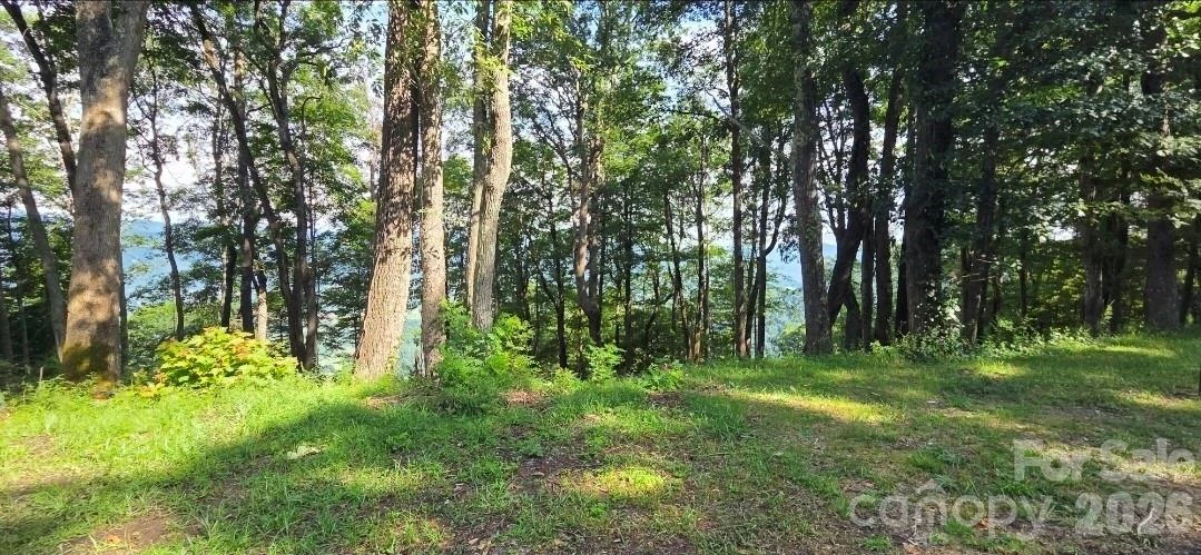 19 Estate Drive #39 - Photo 25