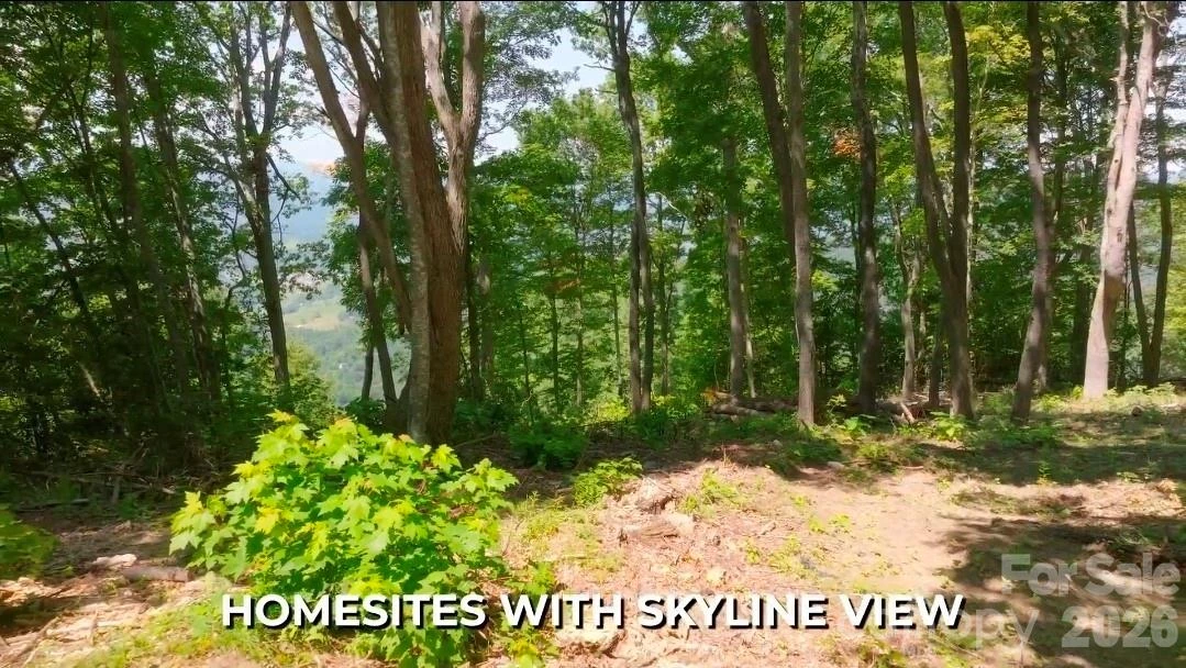 19 Estate Drive #39 - Photo 10