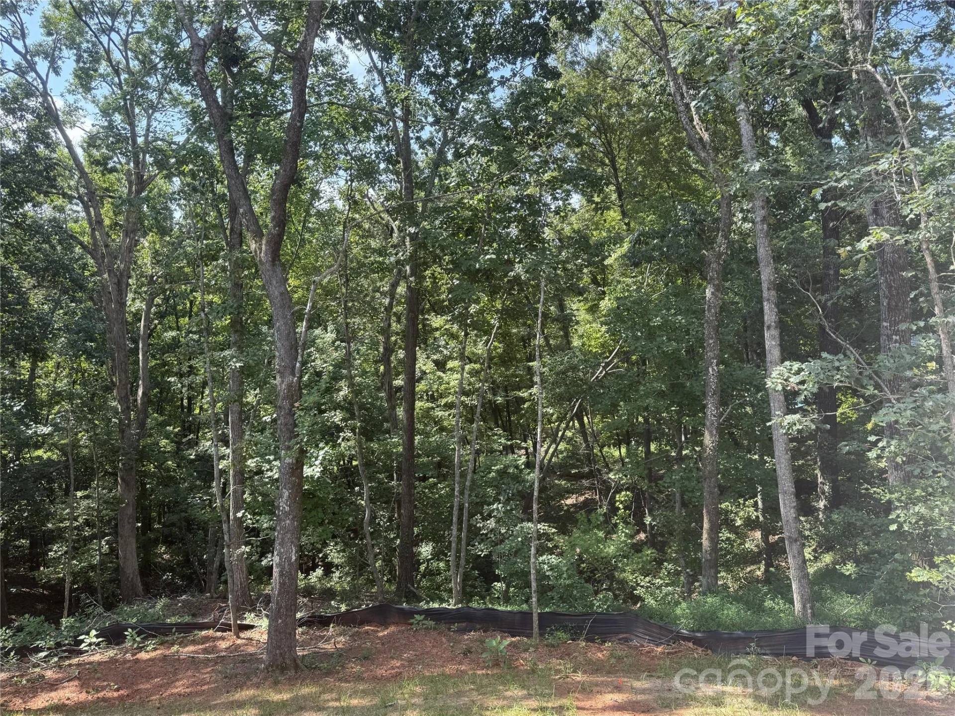 436 Dublin Lane - Photo 5