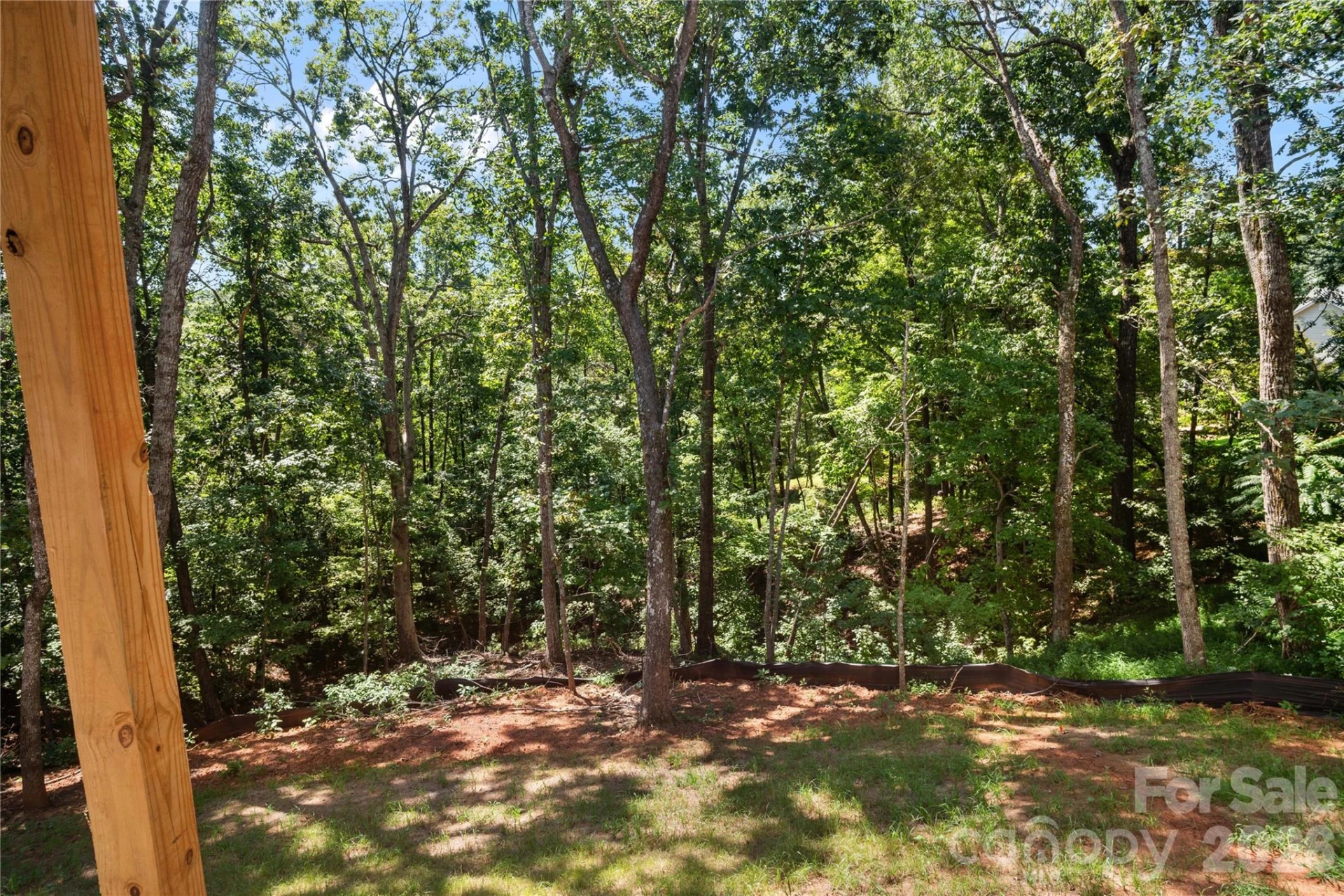 436 Dublin Lane - Photo 13