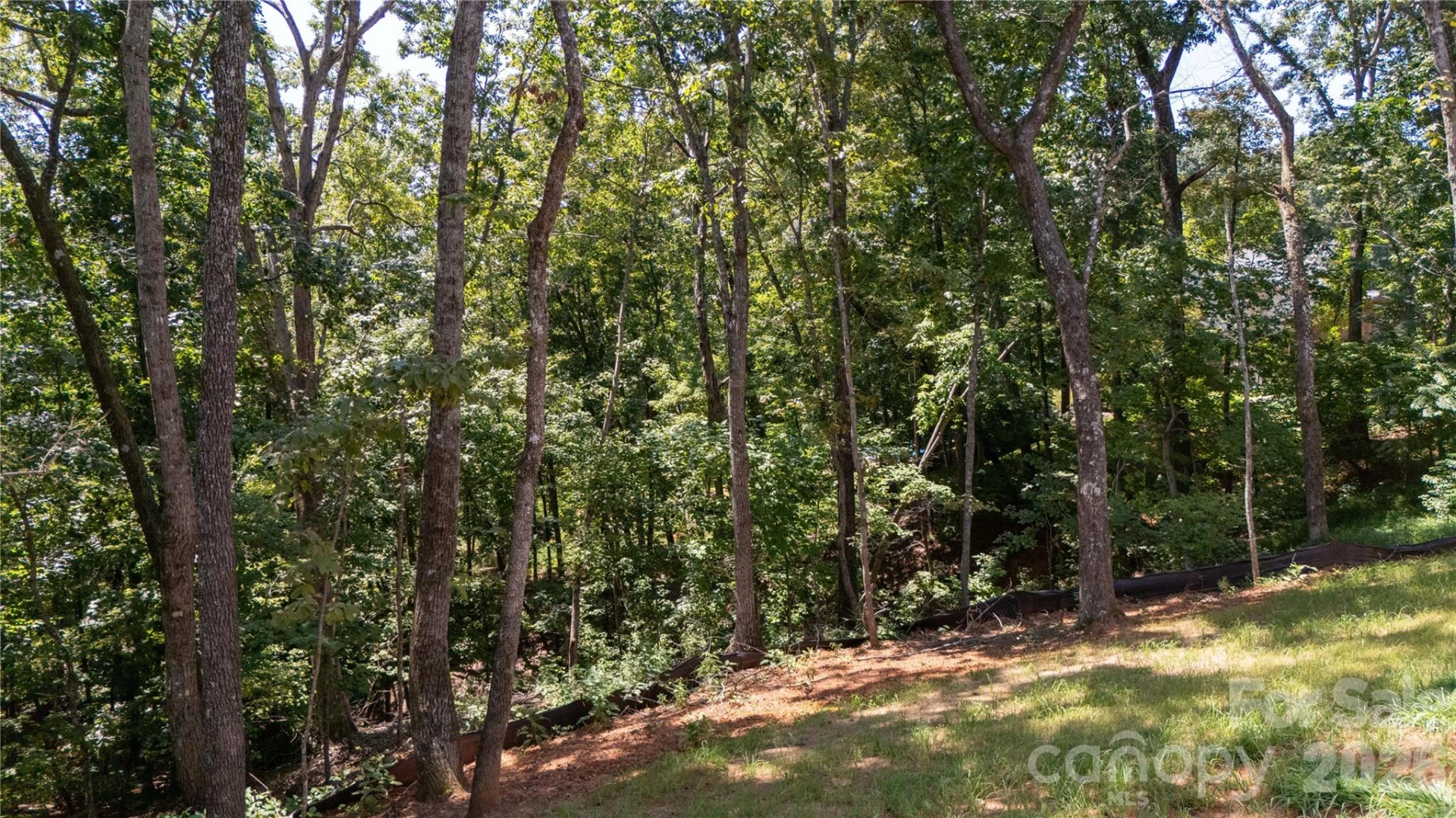 436 Dublin Lane - Photo 16